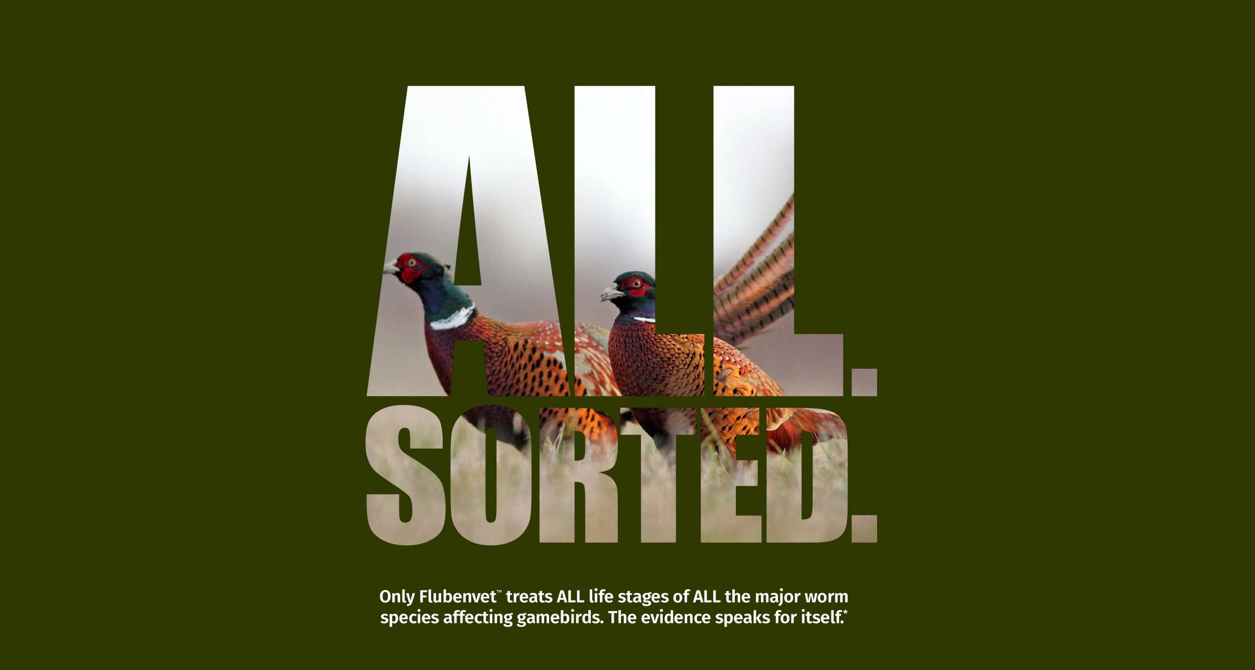 Flubenvet – Protecting Your Game Birds From Worms - Keepers Choice